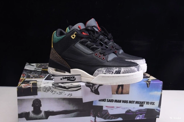 Reps TBK 3 Air 2.0 Jordan SE Retro CV3583-003 Instinct Animal - 0812